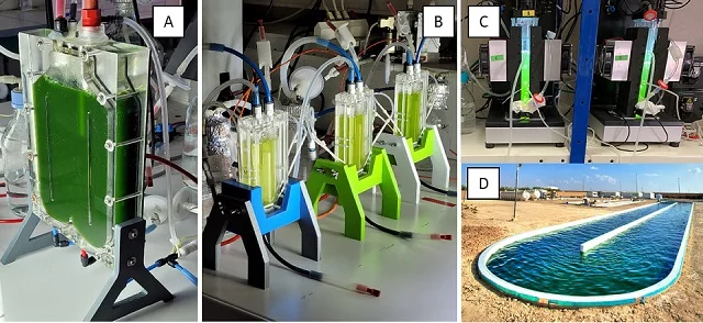 Modelo matemático facilita el escalamiento de la producción de microalgas