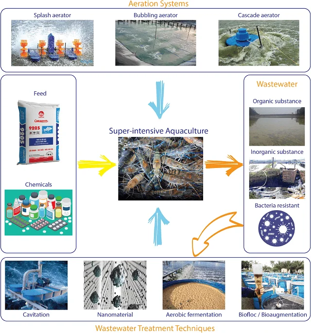 Tecnologías para mejorar la aireación y el tratamiento de aguas residuales en la acuacultura del camarón