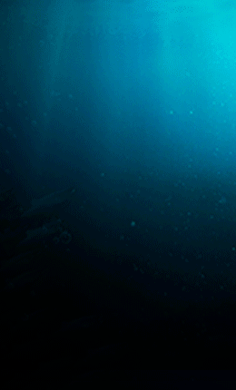 260x430