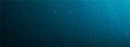 260x95