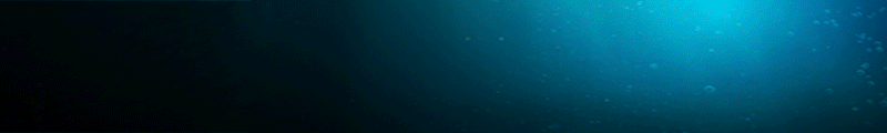 800x120