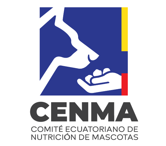 CENMA